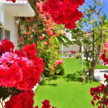Kiraz Butik Hotel Alaçatı Exteriér fotografie